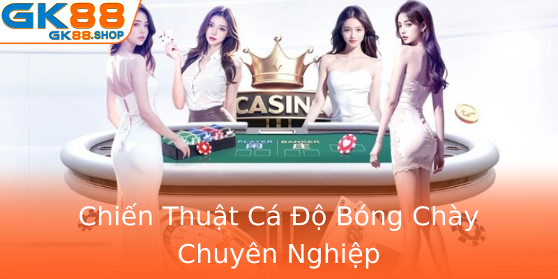 Chiến Thuật Cá Độ Bóng Chày Chuyên Nghiệp Chiến Thuật Cá Độ Bóng Chày Chuyên Nghiệp