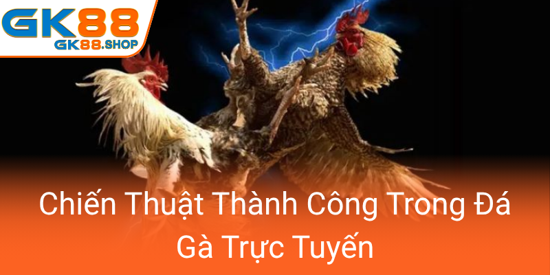 Khám Phá Đá Gà GK88 – Sân Chơi Trực Tuyến Độc Đáo Và Đẳng Cấp Nổi Bật 4 Chien Thuat Thanh Cong Trong Da Ga Truc Tuyen0
