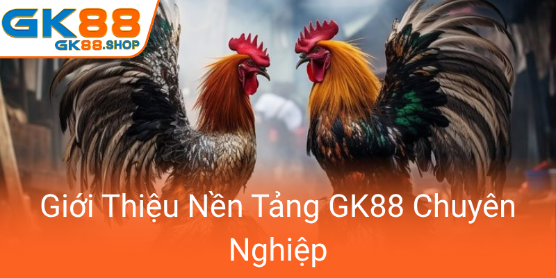 Khám Phá Đá Gà GK88 – Sân Chơi Trực Tuyến Độc Đáo Và Đẳng Cấp Nổi Bật 2 Gioi Thieu Nen Tang Gk88 Chuyen Nghiep0