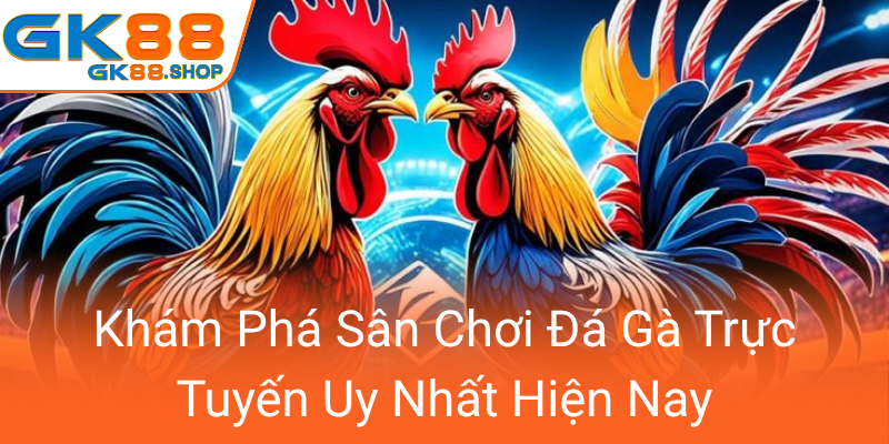 Khám Phá Đá Gà GK88 – Sân Chơi Trực Tuyến Độc Đáo Và Đẳng Cấp Nổi Bật 1 Kham Pha San Choi Da Ga Truc Tuyen Uy Nhat Hien Nay0