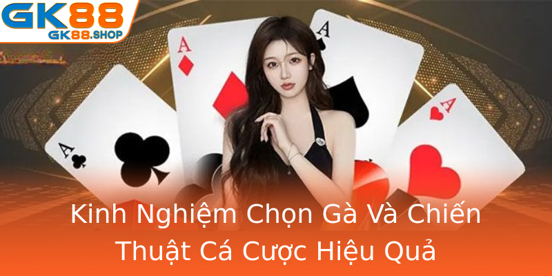 Kinh Nghiệm Chọn Gà Và Chiến Thuật Cá Cược Hiệu Quả Kinh Nghiệm Chọn Gà Và Chiến Thuật Cá Cược Hiệu Quả